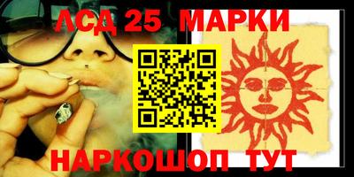 стаф Дубна