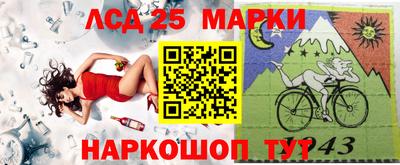 стаф Дубна