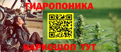стаф Дубна