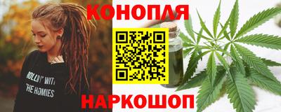 стаф Дубна