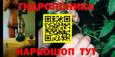 стаф Дубна