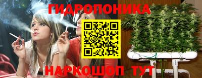 винт Донецк
