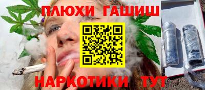 стаф Дубна