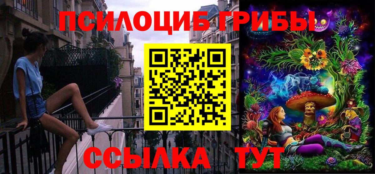 Псилоцибиновые грибы мицелий  Вход с VPN  Люберцы 